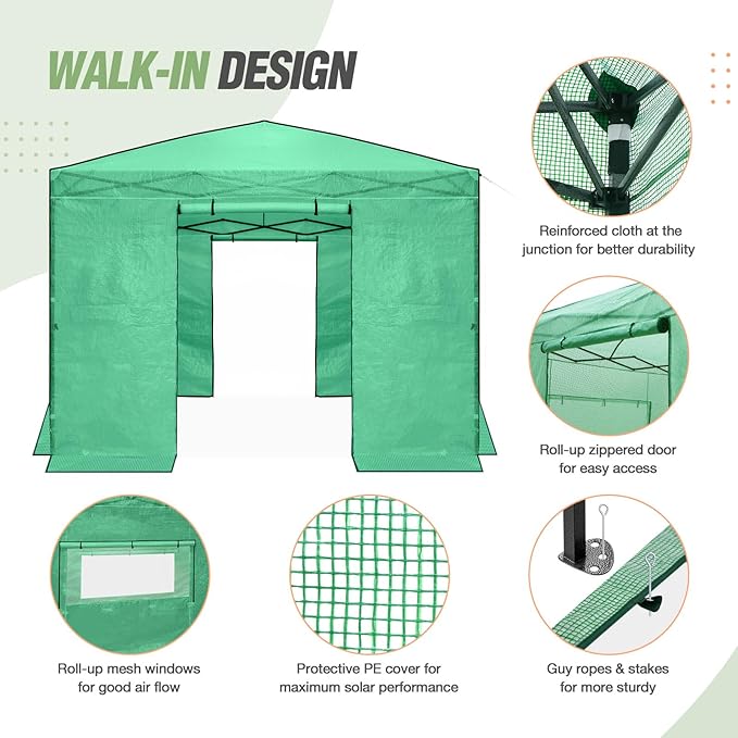 EAGLE PEAK 10x10 Portable Walk in Greenhouse, Pop Up Indoor Outdoor Greenhouse, Green House Kit with Zippered Roll-Up Doors and Windows, PE Cover, Clear/Green