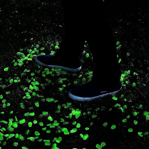 2.4Lbs 550 Pcs Glow in The Dark Garden Pebbles, Gardening Luminous Glow Stones Outdoor Decor Glowing Water Fish Tank Gravel (Green)