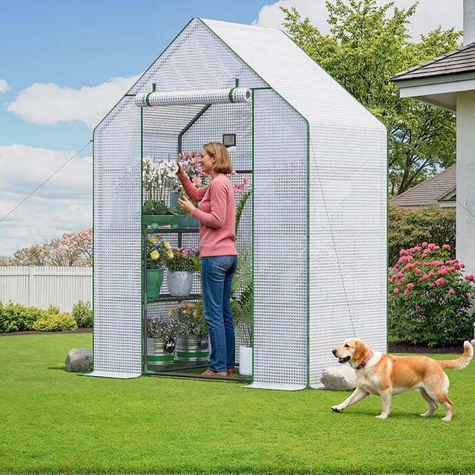 Greenhouse for Outdoors, Portable Green House, Walk in Greenhouses with Durable PE Cover, 57 x 29 x 76 inch Greenhouse with Shelves Stands,White