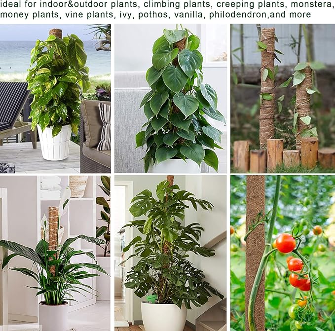 Fabulas Moss Pole 58.7 Inch - Monstera Plant Support 5 Pack, 17.5" and 12" Plant Stakes for Indoor Plants Coco Coir Moss Pole Sticks for Climbing Potted Live Plants, Pothos, Philodendron