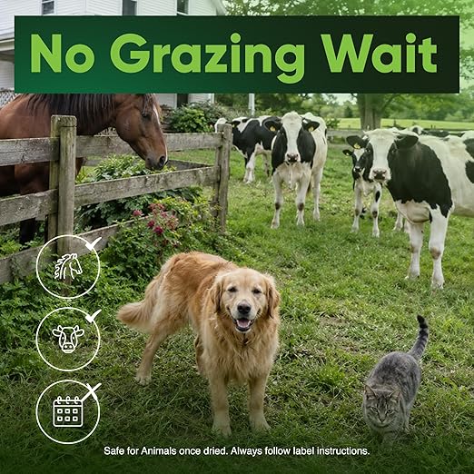 Corteva Remedy Herbicide Concentrate - 1 Quart - Triclopyr Brush & Broadleaf Weed Control for Pastures, Fencerows & Rangelands - Long-Lasting Land Restoration