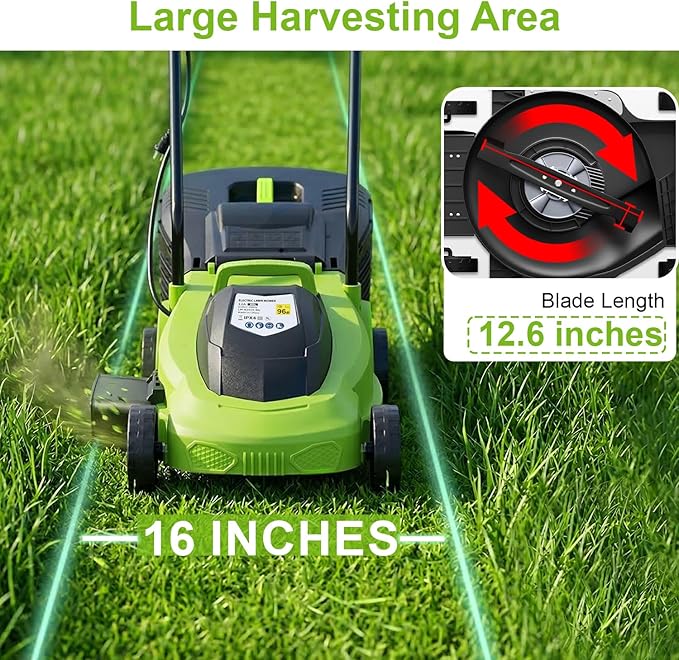 ‌FDW 13-Inch Electric Corded Push Lawn Mower - 12 Amp Motor, 3-Position Height Adjustment, Dethatcher Function & Grass Collection Box