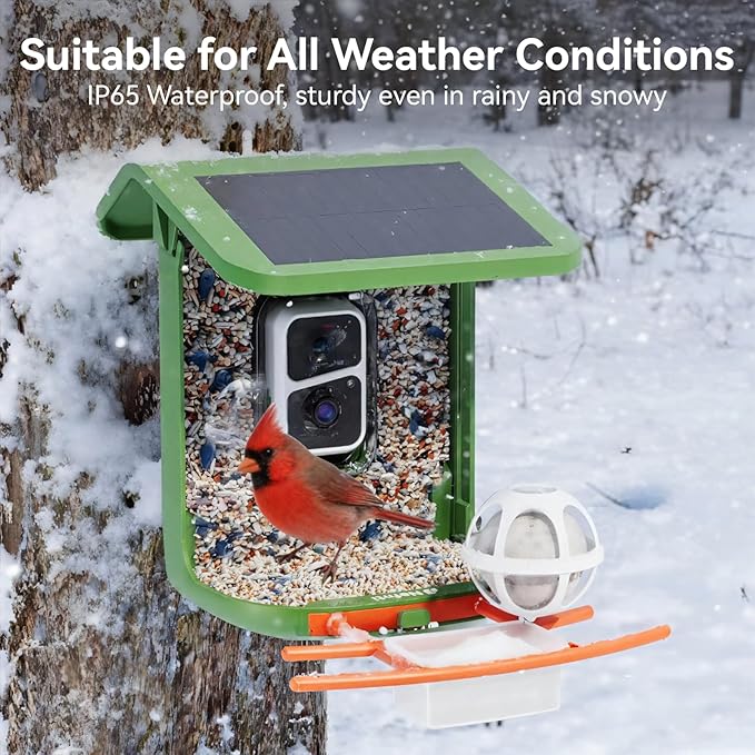 Bird Feeder with Camera, Support 2.4GHz/5GHz, 2K Live Steam for Outdoor, 1.8L Large Capacity, AI Identify Auto Capture Videos, Camera Bird Feeders for Outside, Ideal Gift for BirdLovers (Green)