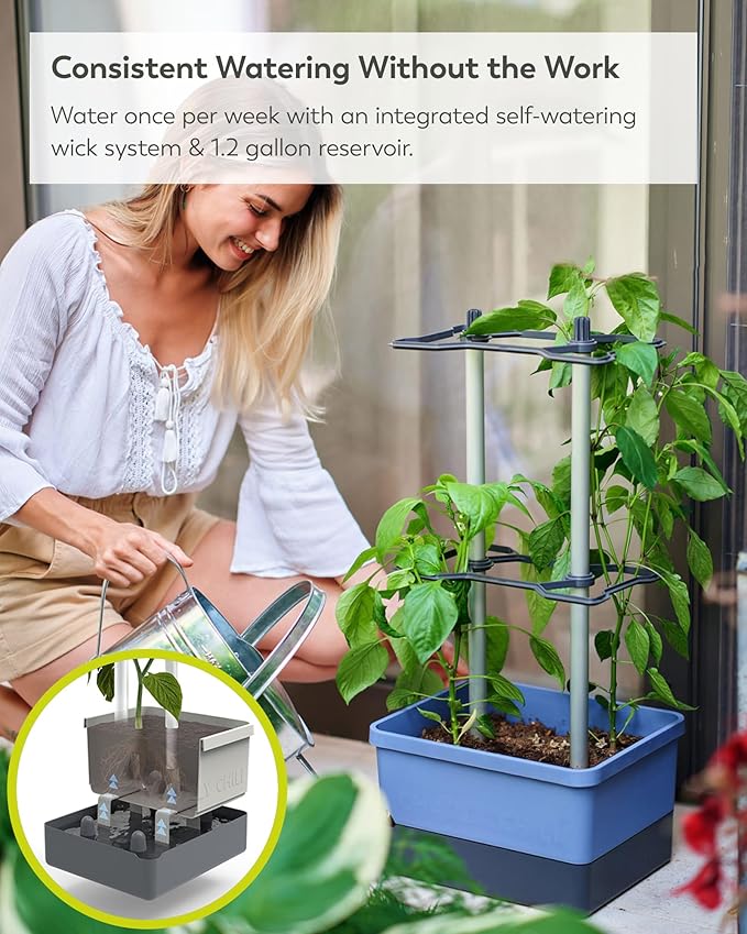 BUZZY Seeds Charly Chili Self-Watering Planter with Vertical Trellis – 1.2 Gal Reservoir, Large Capacity Planter for Chili Peppers, Bell Peppers & Eggplants (Blue)