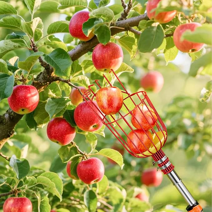 SPECILITE Fruit Picker, 5-20FT Adjustable Telescoping Pole with Basket, Aluminum Apple Picker Tool, Lightweight for Harvesting Orange, Mango, Avocado, Pear, Lemon, Garden Tree Fruit Catcher
