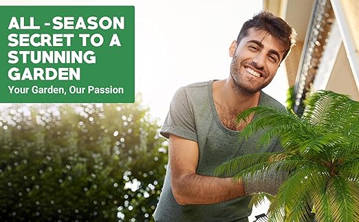 Gardenwise 8-4-8 Professional Palm Tree Fertilizer Plant Food; for Indoor Potted Plants and Outdoor Landscape Palm Trees; Quick-Release Nitrogen Fertilizer and Continuous Feeding (4 QUARTS)