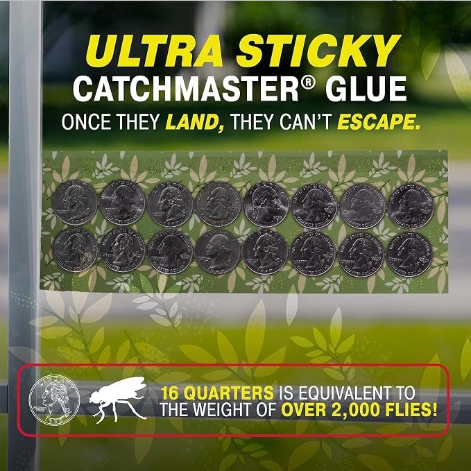 Catchmaster Window Fly Traps 12-Pack, Designed to Disguise House & Fruit Fly, Gnats, Adhesive Strips for Indoor, Disposable Bug Catcher, Insect Sticky Glue Traps, Pest Control for Home & Kitchen