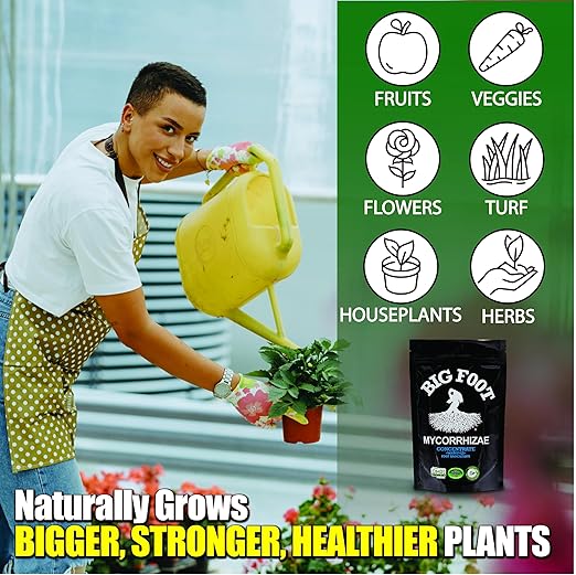 Big Foot Mycorrhizae for Plants, Potted Plants and Gardens - Concentrate Fully Dissolves in Water, Year Round Organic Fertilizer for Root Growth and Healthy Soil - 4 Ounces