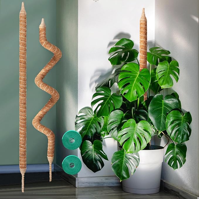 2-Pack 48in Moss Pole Kit, Plant Stakes for Indoor Plants, Monstera, Pothos Vines, Philodendron, Fishbone Cactus & Indoor Tropical Houseplants, Made for Coco Coir