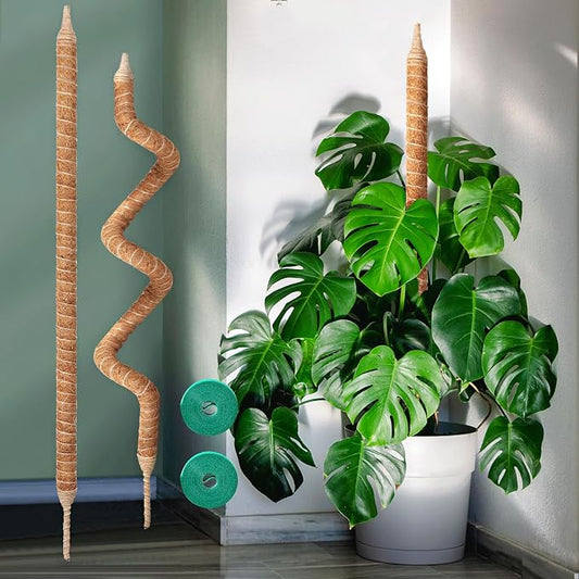 2-Pack 48in Moss Pole Kit, Plant Stakes for Indoor Plants, Monstera, Pothos Vines, Philodendron, Fishbone Cactus & Indoor Tropical Houseplants, Made for Coco Coir