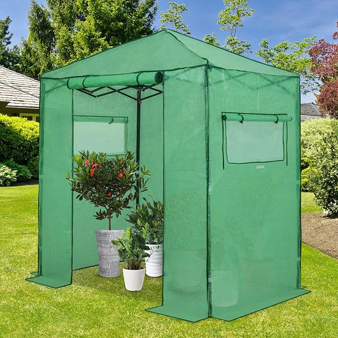 EAGLE PEAK 6x4 Portable Walk in Greenhouse, Pop Up Indoor Outdoor Greenhouse, Green House Kit with Zippered Roll-Up Doors and Windows, PE Cover, Clear/Green