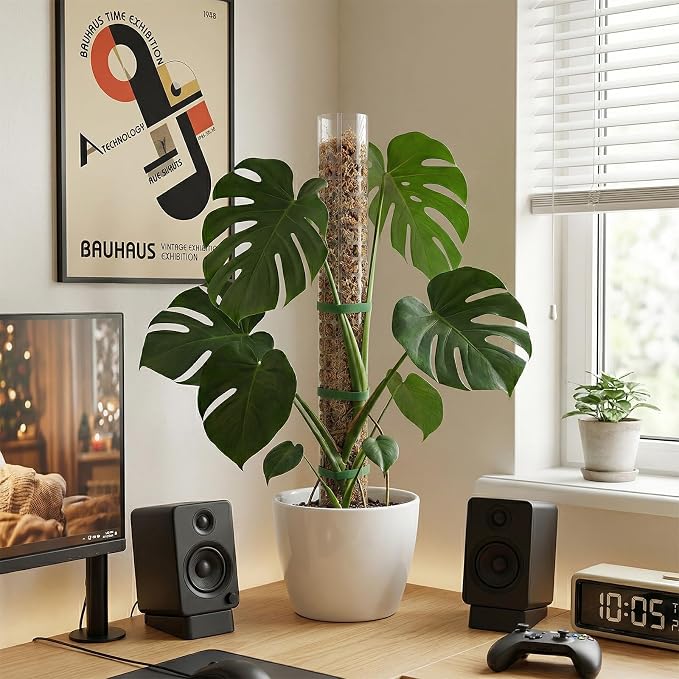 6 Pcs Plastic Moss Pole for Monstera 6×24'' Plant Poles for Climbing Plants Shaped Plant Support Indoor Use with Sphagnum Moss for Climbing Plants Work 24 Inch