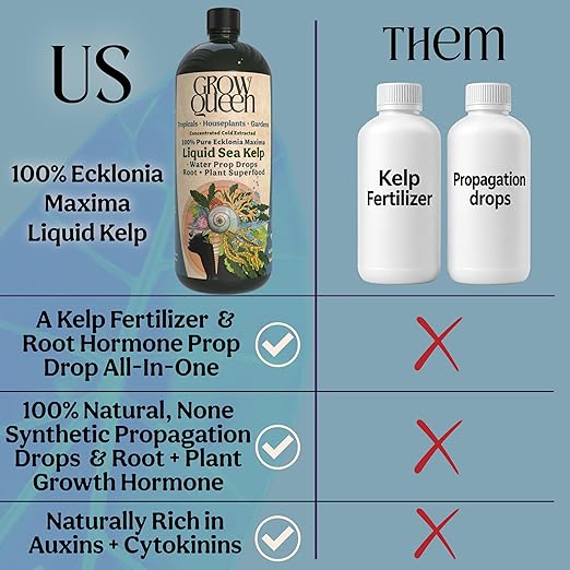 Organic Liquid Kelp & Seaweed Extract Prop Drop (Ecklonia Maxima) – Root + Plant Growth Hormone & Root Plant Food for Water Propagation, Hydroponics & Soil – 12oz 85 Gallons