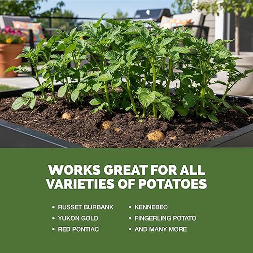 Potato Fertilizer – Liquid Plant Food for Bigger Tubers, Stronger Roots & Vigorous Plant Growth, 8 oz