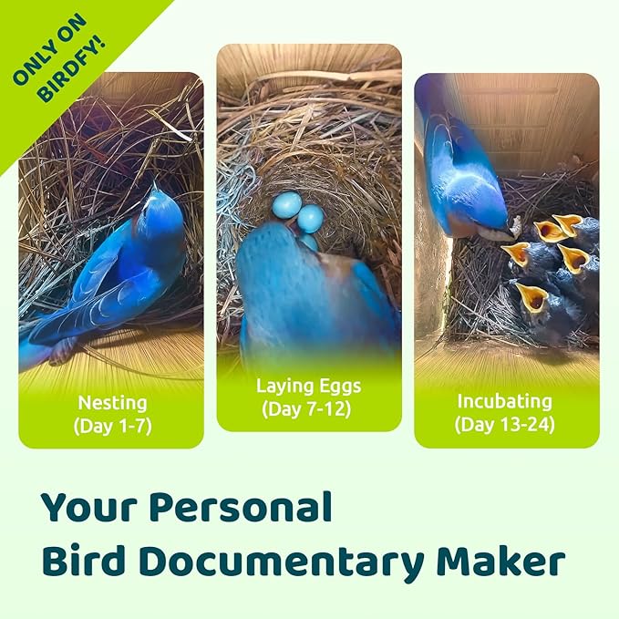Birdfy Smart Bird House with Camera Lifetime AI Identify Auto-Record Nesting Stages & Alerts, Remote Control Night Vision Battery & Solar Outdoor-Ready, Gift for Nesting Watching Enthusiasts