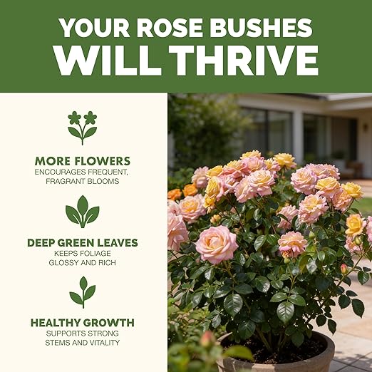 Rose Bush Fertilizer – Liquid Plant Food for More Blooms, Bigger Flowers & Stronger Stems, 32 oz
