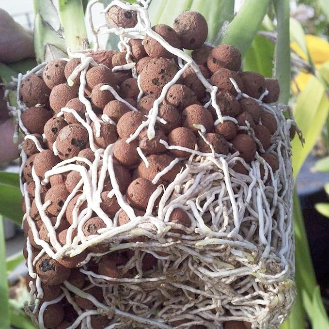 Pulovin 10 lbs LECA Clay Pebbles for Plants, 4-16mm LECA Balls for Indoor Plants Drainage, Hydroponics, Aquaponics, Natural Clay Balls for Soil Root Development, Orchid Potting Mix