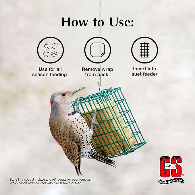 C&S Suet Variety Value Pack, Peanut Delight Dough & Berry Treat, Wild Bird Food, Year Round Source of Energy for Birds, 24 Pack