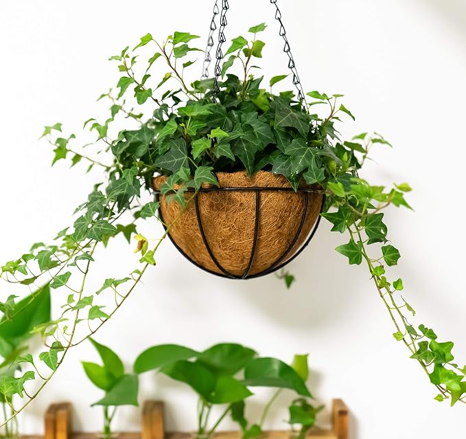 Kingbuy 12 Inch Metal Hanging Planter Basket with Coconut Liner Wire Plant Holder Watering Flower Baskets Pot Hanger Garden Decoration for Indoor Outdoor, 4 Pack