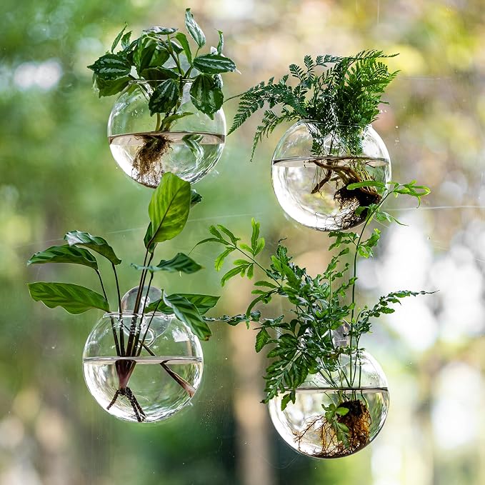 Window Propagation Stations, Oblate Glass Terrariums Planter with Suction Cup Hook, Wall Hanging Planters for Hydroponics Plants, Home, Office, Bathroom, Living Room Decor, Gift for Plant Lovers (4)