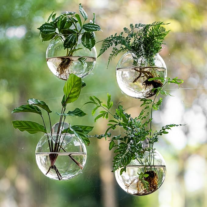 Window Propagation Stations, Oblate Glass Terrariums Planter with Suction Cup Hook, Wall Hanging Planters for Hydroponics Plants, Home, Office, Bathroom, Living Room Decor, Gift for Plant Lovers (2)