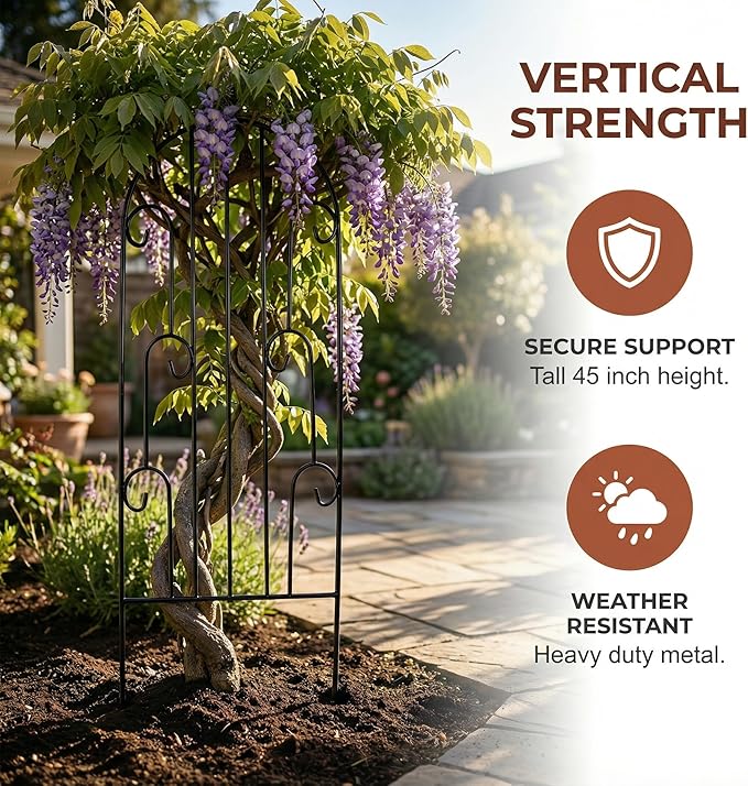 SCENDOR 2 Pack Arched Metal Garden Trellis for Climbing Plants 45" H x 15.9" W – Rustproof Iron Trellis with Decorative Scrollwork, Perfect for Roses, Clematis, Vines, and Patio Decor