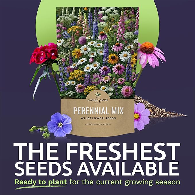Perennial Wildflower Seeds Mixture - Bulk 1/4 Pound Bag - Over 60,000 Pure Live Seed - Open Pollinated and Non GMO