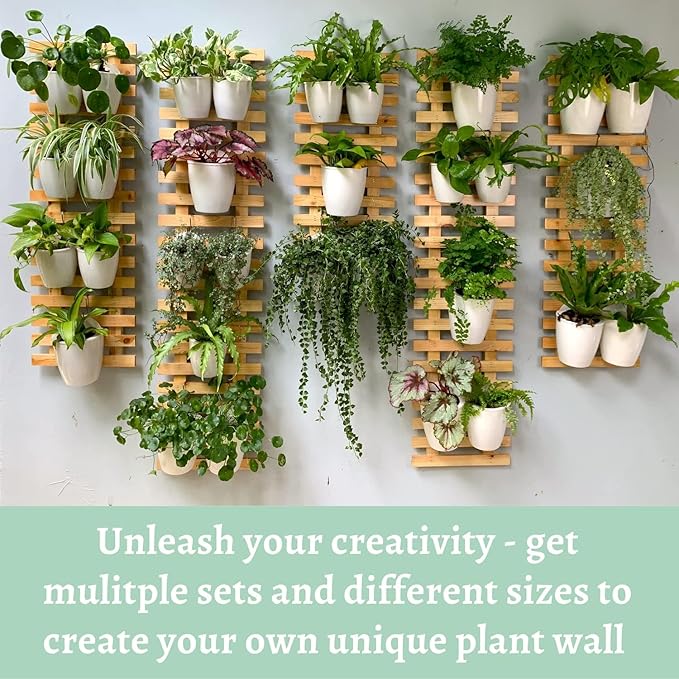 ShopLaLa Wall Planter (60cm, 2 Pack) Wooden Hanging Ladder Planters with Clear Paint Finish, Wall Mount Plant Stand for Indoor Plants, Outdoor Vertical Garden, Herbs Orchid Display, Balcony Home Decor
