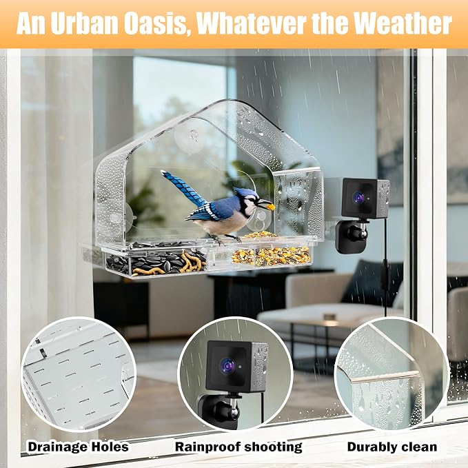 Smart Window Bird Feeder with 2K Camera & AI Identification, Strong Suction Cup Mount, All-Weather Design, Real-Time Alerts, Easy to Install, for Apartments & Homes, Perfect for Bird Lovers