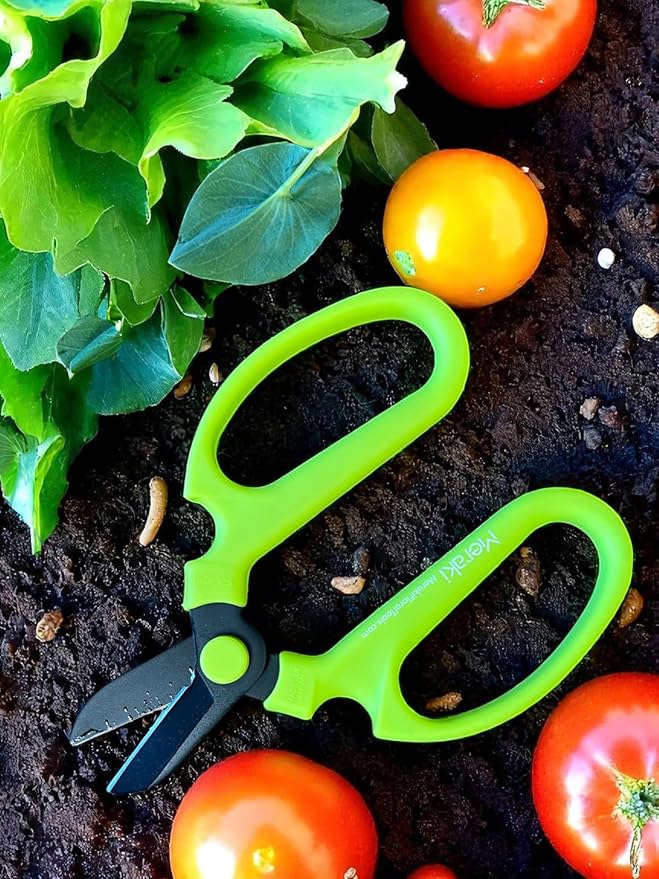 Garden Pruning Shears 6.7 Inch, Viburnum - Lime Green