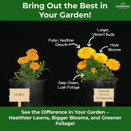 Gardenwise 13-13-13 Slow Release Granular Fertilizer – All Purpose Plant Food 13 13 13 for Outdoor Grass, Vegetables, Roses, Flowers, Shrubs, Trees. Lawns, Gardens, Potted Plants (1/2 Quart)