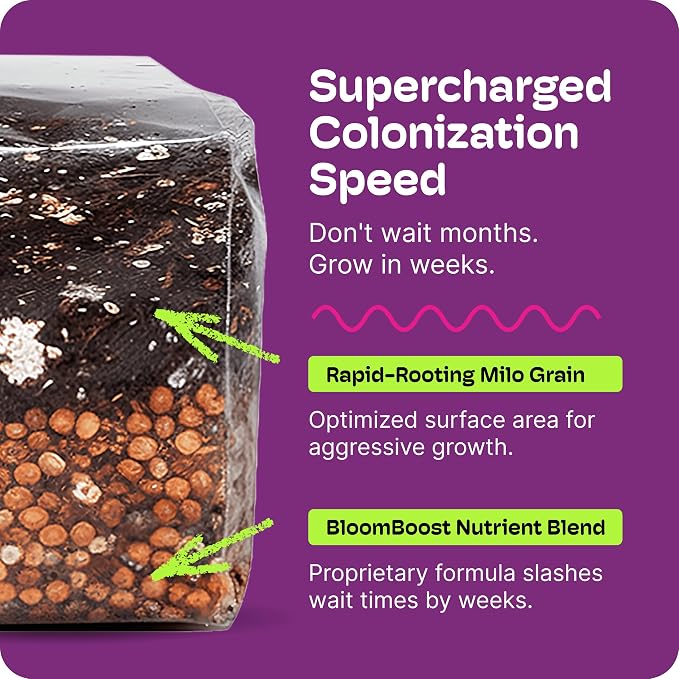 Mushroom Grow Kit – All-in-One 4LB Grow Bag with Self-Healing Port – Fast-Colonizing Universal Substrate for Any Mushroom – Multi-Flush High-Yield – USA Made (Just Add Your Own Culture)