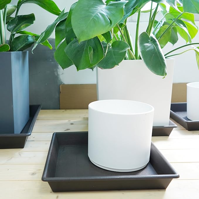 NIMYAU Square Plant Saucer 12 Inch 2 Pack，Plant Stand Plant Trays for Pots Heavy Duty Plastic Plant Saucers for Indoors Outdoors, Flower Pot No Holes Plant Lover Gardening Gifts