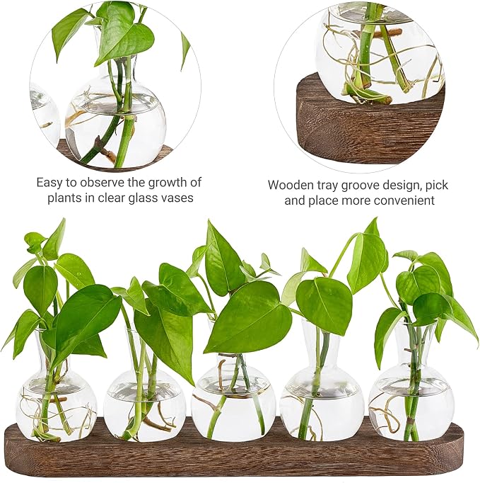 Mkono Plant Terrarium with Wooden Stand, Wall Hanging Glass Planter Desktop Plant Propagation Vase with Metal Swivel Retro Rack for Hydroponics Plants Home Office Decor