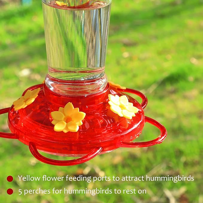 Shrdaepe Hummingbird Feeder, Glass Bottle Bird Feeders, 5 Feeding Ports, 10-Ounce Nectar Capacity, 2 Pack