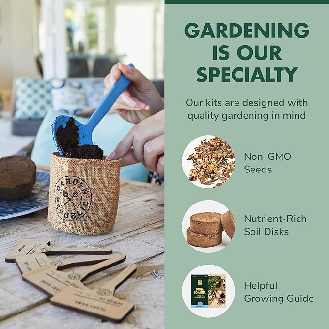 Garden Republic Bonsai Tree Kit - Grow 3 Mini Bonsai Trees, Indoor Plant Growing - Starter Kit with Seeds, Soil, Planters & Shears, Gardening Gifts for Women, Fathers Day Gardening Gifts