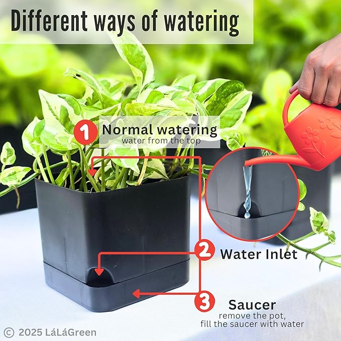 LaLaGreen Bundle- 7 Pack, Assorted Sizes Self Watering Planter + 2 Pack, 14 Inch Black Self Watering Pot Indoor Flower Herb Plant Pot Windowsill Stylish Rectangular Hanging Home Decor Outdoor Garden
