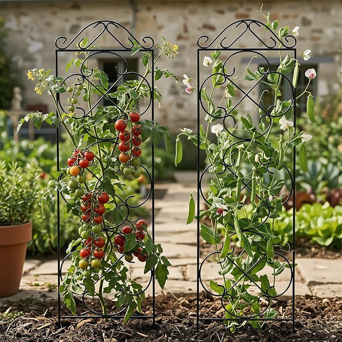 Thealyn Garden Trellis for Climbing Plants, 4 Pack 56" x 13.8" Metal Trellis for Potted Plants and Planters, Rust-Resistant Plant Support for Indoor Outdoor Use, Black