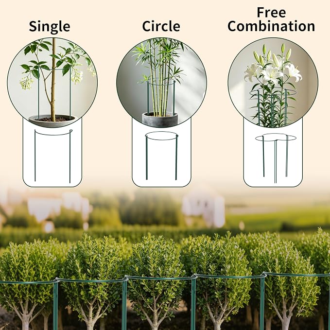 6-Pack Garden Plant Support Cages,14"Diax32"H Heavy Duty Interlinked Half Round Peony Support Rings,Metal Plant Support Stakes for Peony,Tomato,Hydrangea,Rose,Indoor & Outdoor Garden Plant Supports