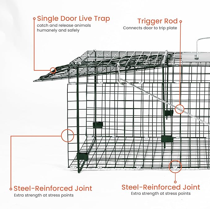 HOMESTEAD 32 Inch Heavy Duty Collapsible Live Animal Trap - Humane Catch and Release Trap for Squirrels, Stray Cats, Raccoons, Rabbits, Foldable Steel Trap, Space-Saving (32 Inch)