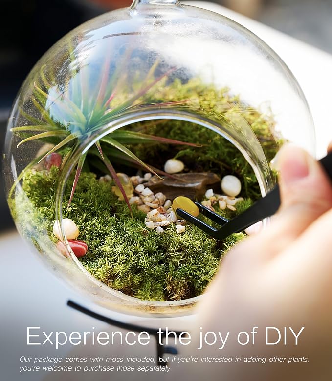 LUCKYRUNES DIY Terrarium Kit with Live Moss, 15-Piece Glass Globe Set with Wooden Stand, Tools, Soil, Stones & Spray Bottle, Indoor Mini Garden Gift for Plant Lovers, Home Desk Decor