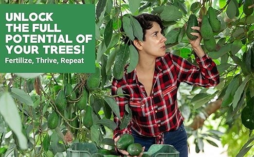 Gardenwise 6-4-6 Avocado and Citrus Tree Professional Fertilizer Plant Food for Outdoor/Indoor Gardening; Quick-Release Nitrogen Fertilizer; Orange, Lime, Avocado and Lemon Tree Fertilizer (20 QUARTS)