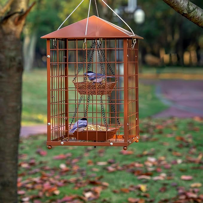 Mealworms Bird Feeders for Bluebirds - Metal - Huge Caged Squirrel-Proof Bird Feeders with 2 Cups, DIY Wild Bird Feeders Outdoor Hanging (Brown), Attract Wild Birds, 2lbs Seed Capacity+1 Mealworms Cup