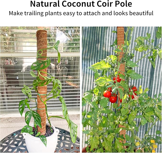 JJGoo Moss Pole for Plants Monstera, 2 Pack 23.6 inch Plant Support Pole, Extendable Coir Totem Pole for Potted Plants Pothos,Train Indoor Climbing Plants to Grow Upwards - Extends to 40.6 Inches