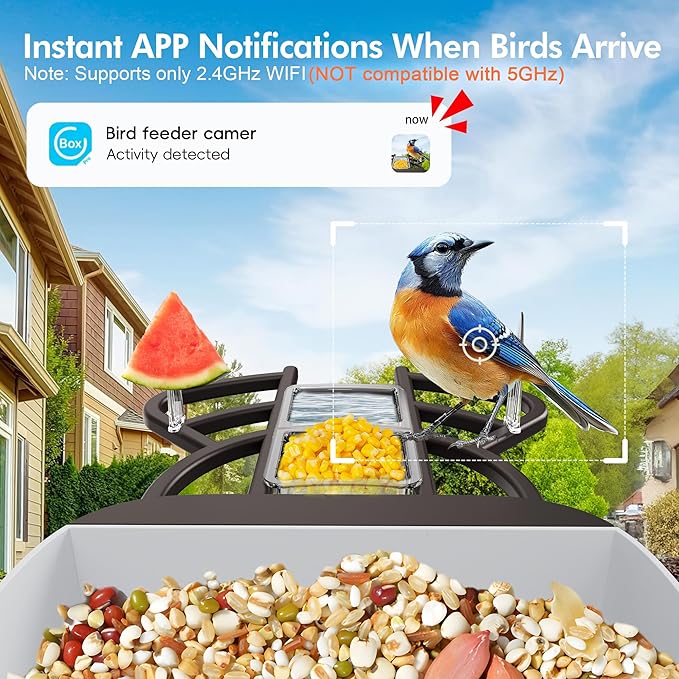 Smart Bird Feeder with Camera, 4400mAh Battery with Solar Panel, 2K Live View/AI Identifies/App Control/Auto Capture/165° Motion Detection/IP65 Waterproof, Ideal Gift, Pine Green
