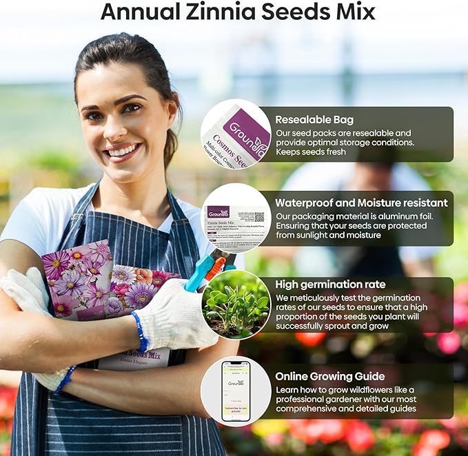 Groundio Zinnia Seeds Mix, 1 Oz, Over 3,000 Flowers Seeds, 5 Varieties (Pink, Yellow, Orange, White, Purple), Mixed Colors and Large Blooms,Open Pollinated - Bulk