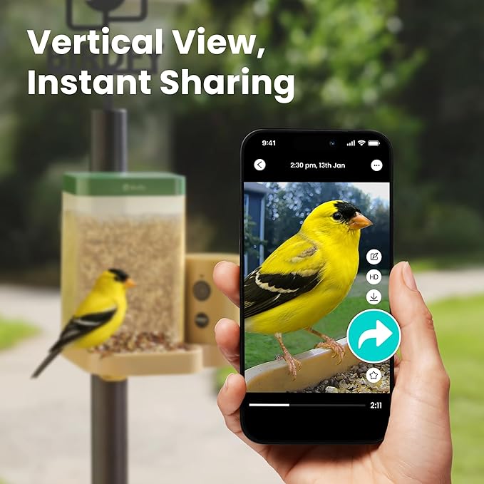 Birdfy Smart Bird Feeder with Camera for Rookie, Camera Bird Feeder Dual Night Vision, AI Recognition IP66 Waterproof for BirdLovers (Lifetime Free AI)