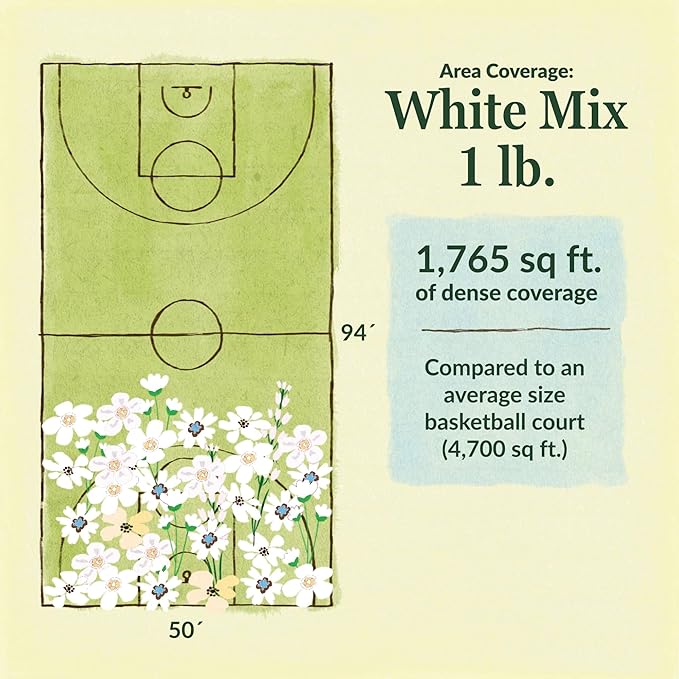 Ferry Morse Flower Seeds - White Wild Flower Mix, Non-GMO, Outdoor, Full Sun - 1 lb