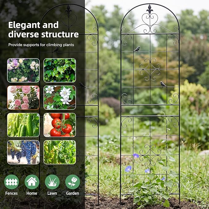 Garden Trellis for Climbing Plants Outdoor, Maidapulu 2 Pack 70.8x19.6 Inch Black Metal Trellis - Rustproof Lattice Support Panel with Easy Assembly for Roses, Clematis, Cucumbers, Vegetable Garden