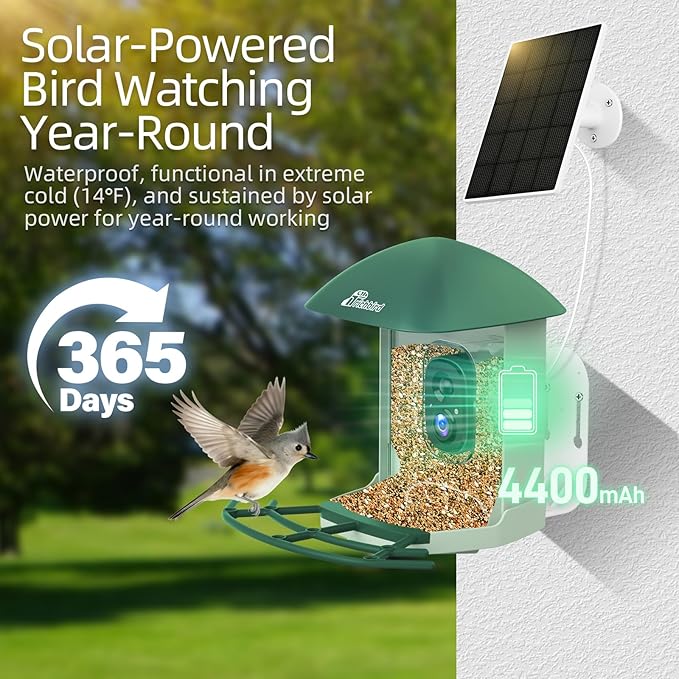 Smart Bird Feeder with 4MP HD Camera, Birdwatching Camera with Free AI Identify Birds & Solar Panel for Outdoors, Auto Video Capture & Instant Notifications, Green